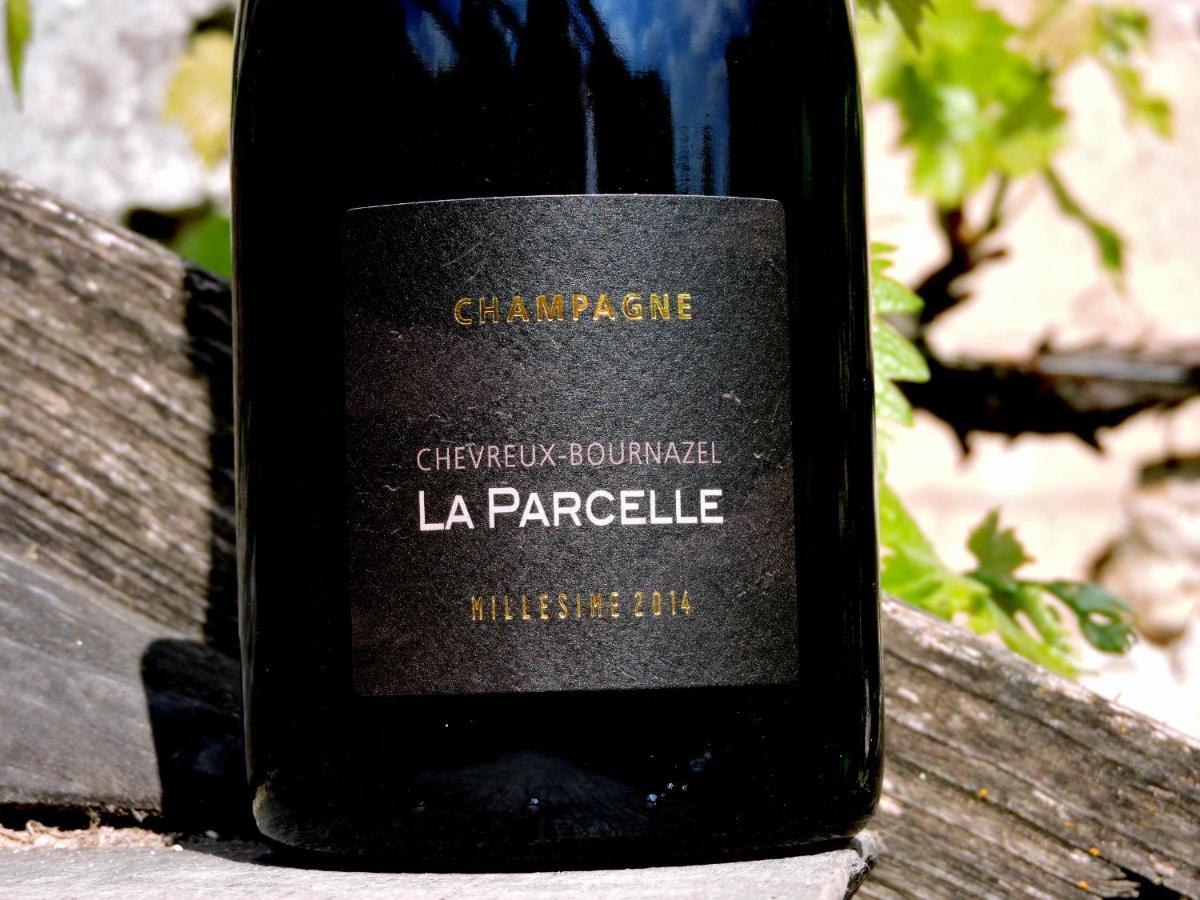 Апартаменты Gite Champagne La Parcelle Connigis Экстерьер фото